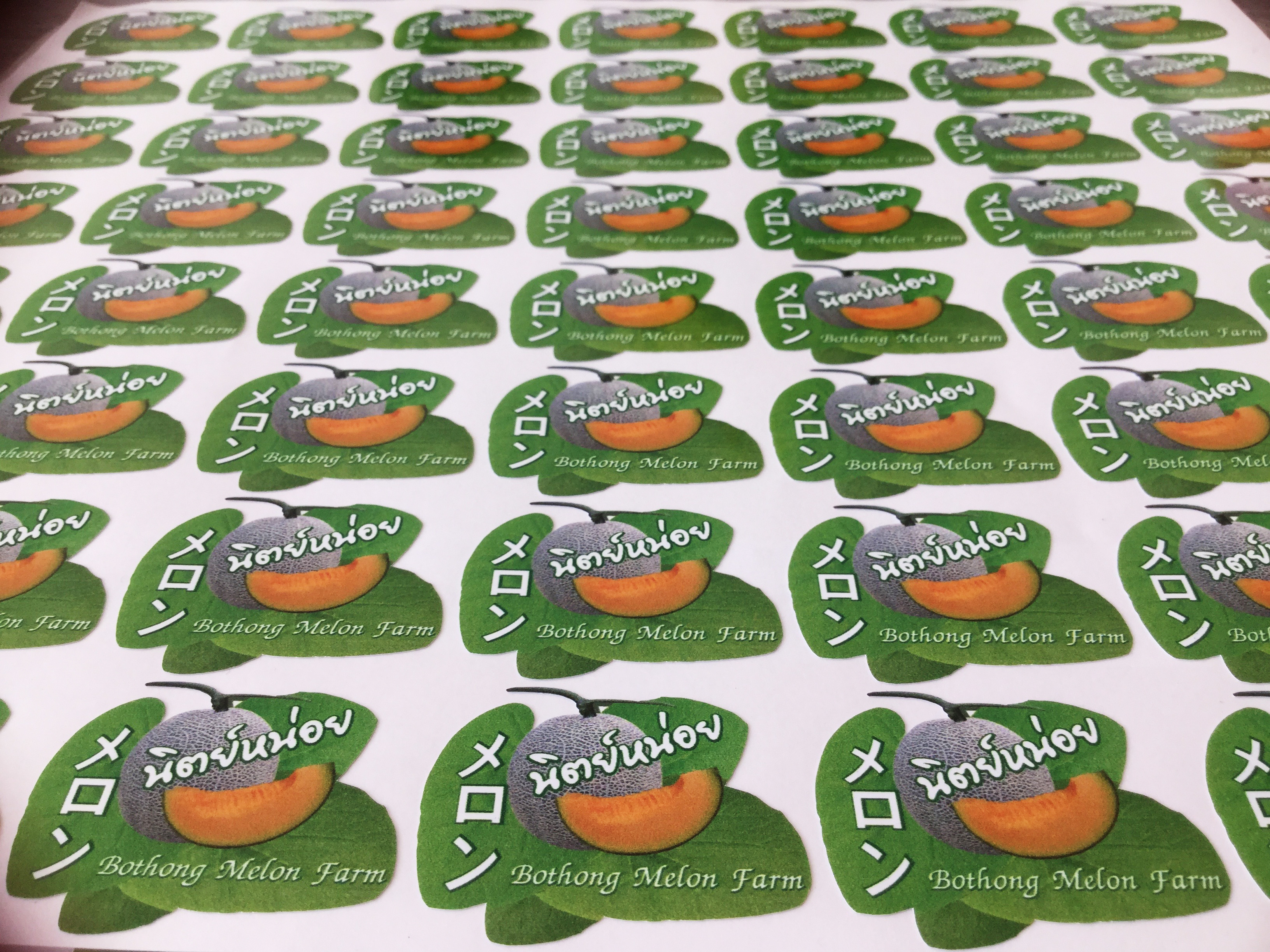 พิมพ์สติกเกอร์, พิมพ์ฉลากสินค้า (Sticker & Labels)