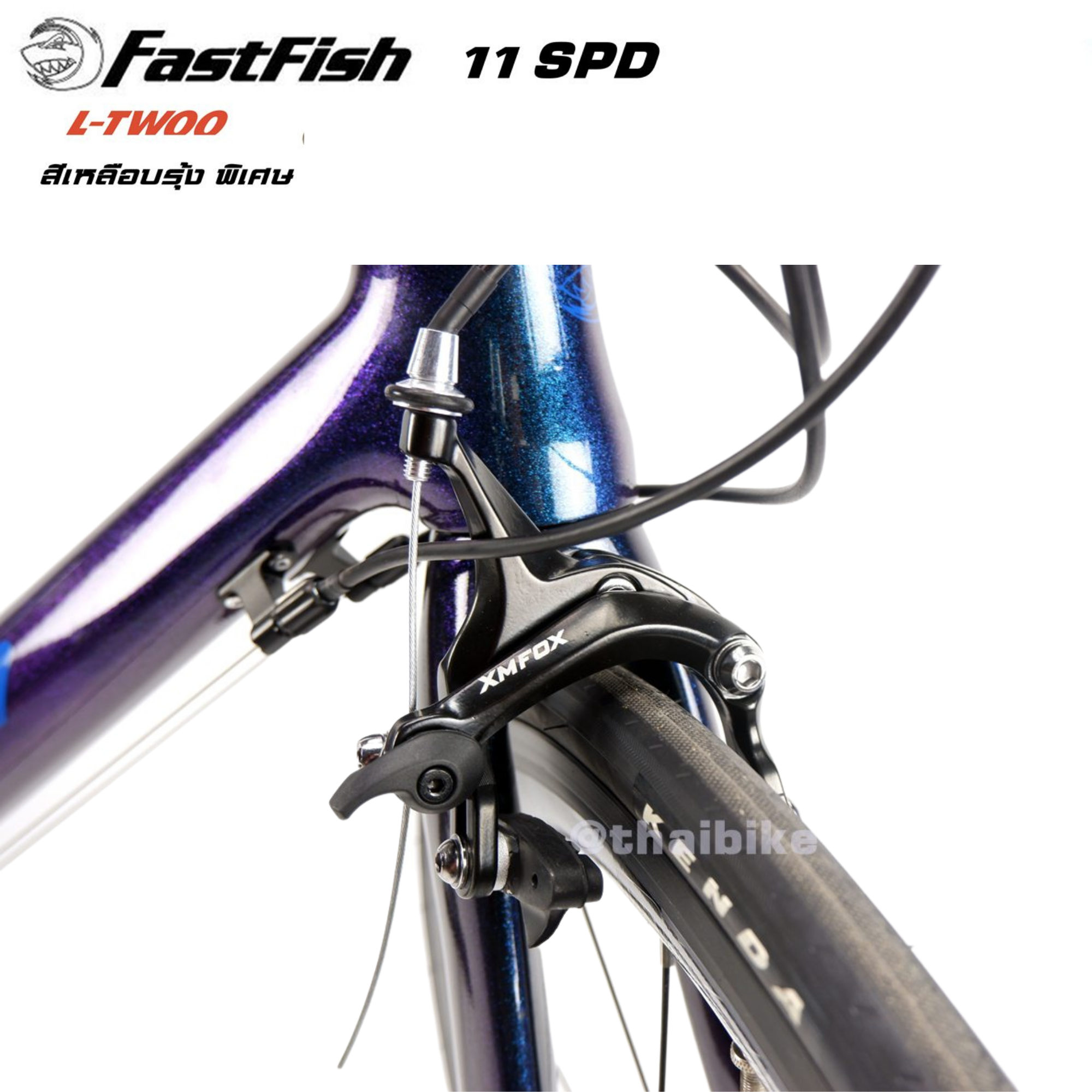 จักรยานเสือหมอบคาร์บอน FASTFISH STEALTH สีพิเศษ ไซต์ 47/51 สีสวยมาก