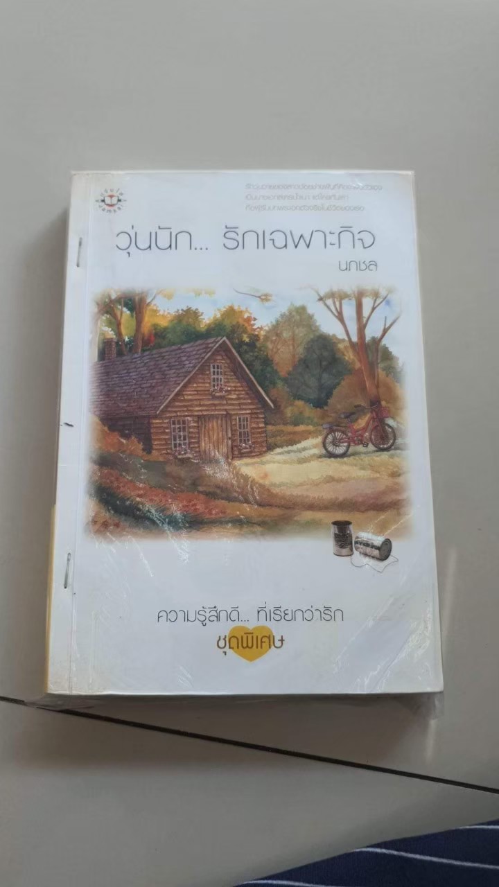 วุ่นนักรักเฉพาะกิจ /นภชล