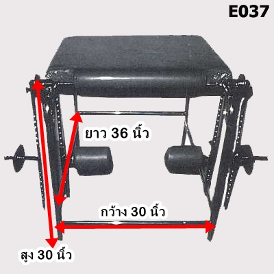 โต๊ะสำหรับบริหารขาและเข่า [Knee Exercise Unit (N-K Table)]