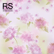 วอลเปเปอร์ ลายดอกไม้ BOW-D1