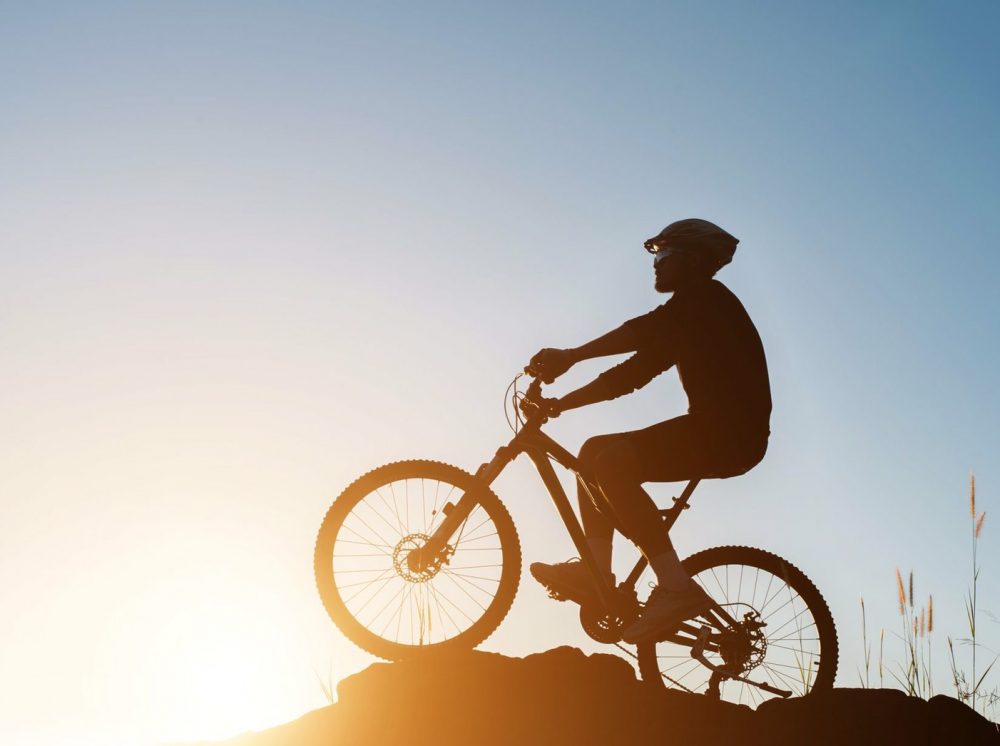 จักรยานเสือภูเขา TIGER TORNADO 29 ER