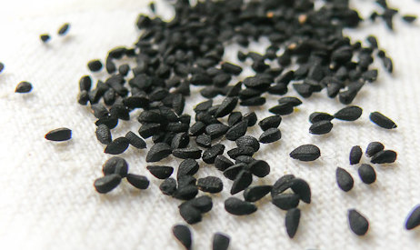 100 กรัม 40,000 เมล็ด Black Cumin nigella sativa Roman coriander blue