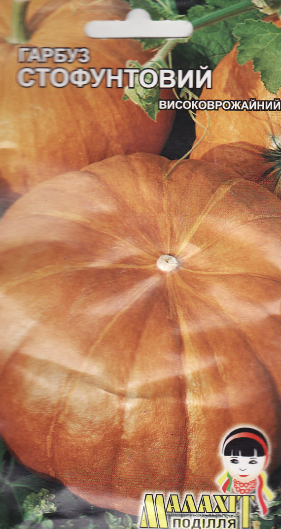 Pumpkin seeds Hundred Pound Ukraine