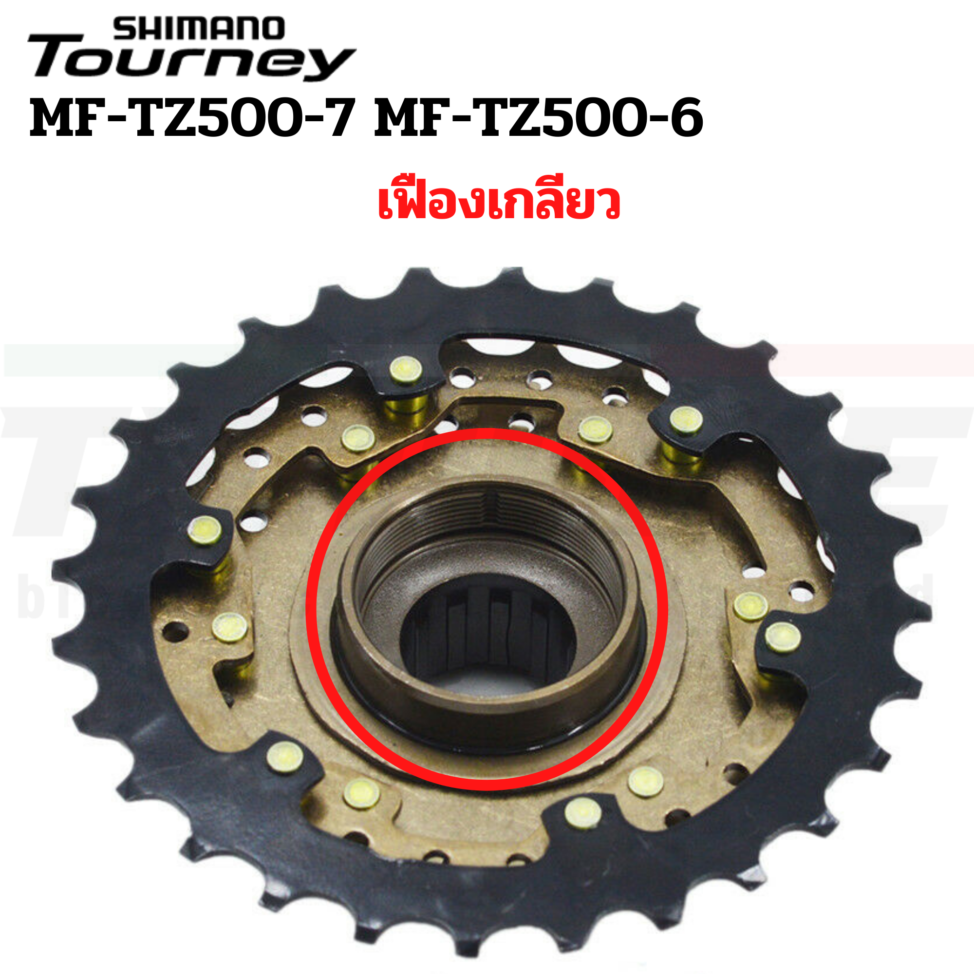 เฟืองเกลียว สเตอร์รุ่นเกลียว SHIMANO TOURNEY 6SPD 7SPD MF-TZ500 14-28