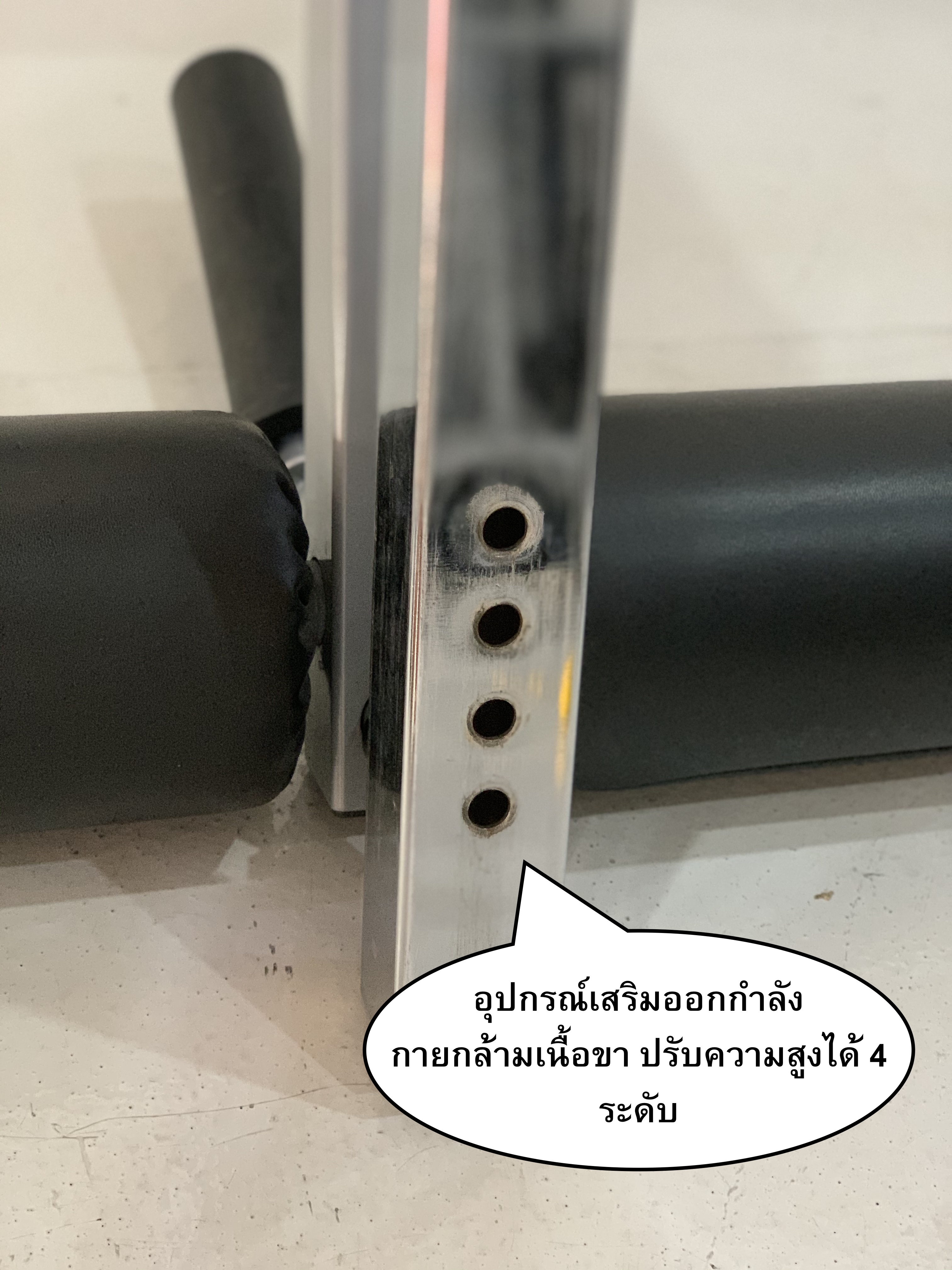 ม้าดัมเบลรุ่น IRON 202