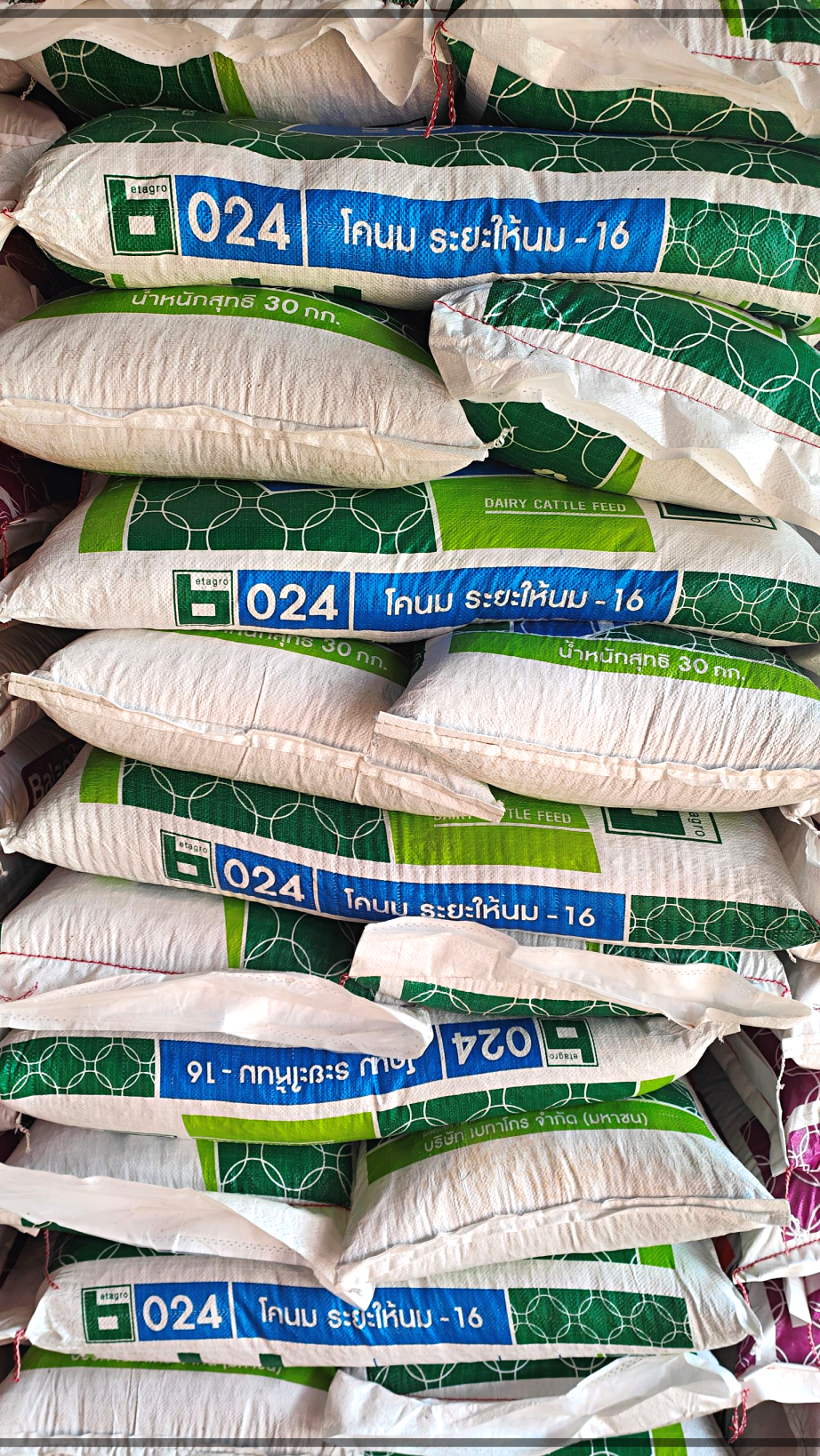 ิBetagro Feed อาหารวัวนมระยะให้นม เบทาโกร 024 โปรตีน 16 %