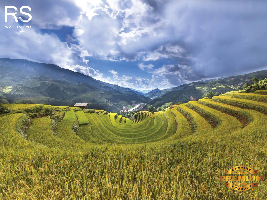วอลเปเปอร์ ภาพภูเขา J-PREMIUM(สั่งผลิต)
