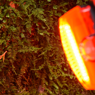 ไฟท้ายจักรยานกระพริบแคทอาย CATEYE RAPID X/RAPID X2/RAPID X3