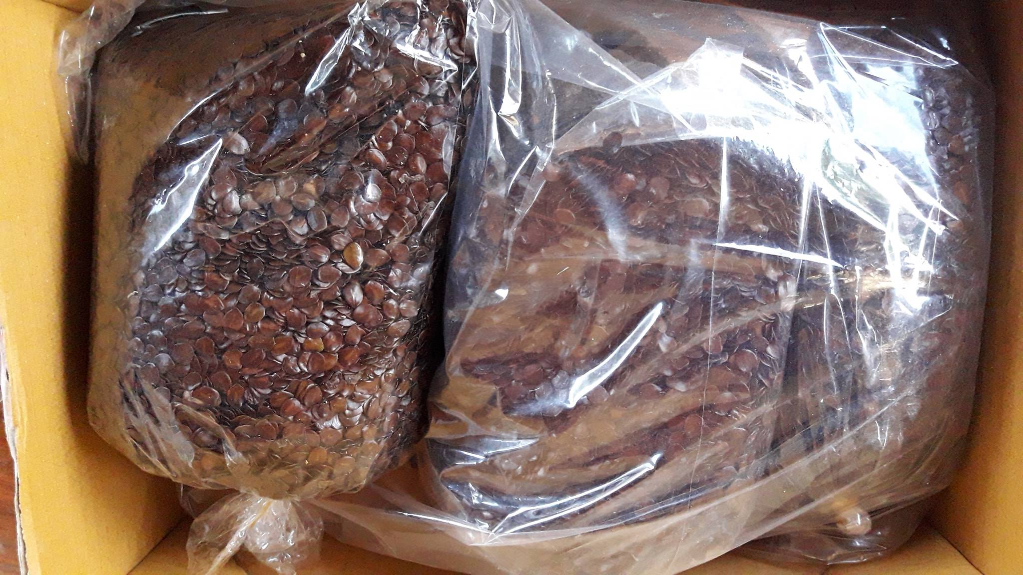 ขี้เหล็ก 60-80 เมล็ด 50 บาท