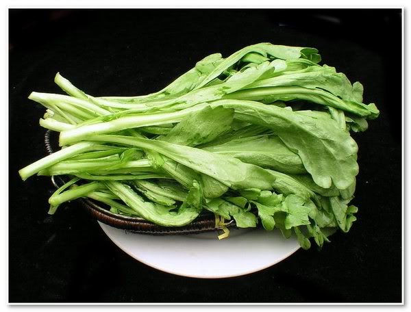 ตั้งโอ๋ GARLAND CHRYSANTHEMUM