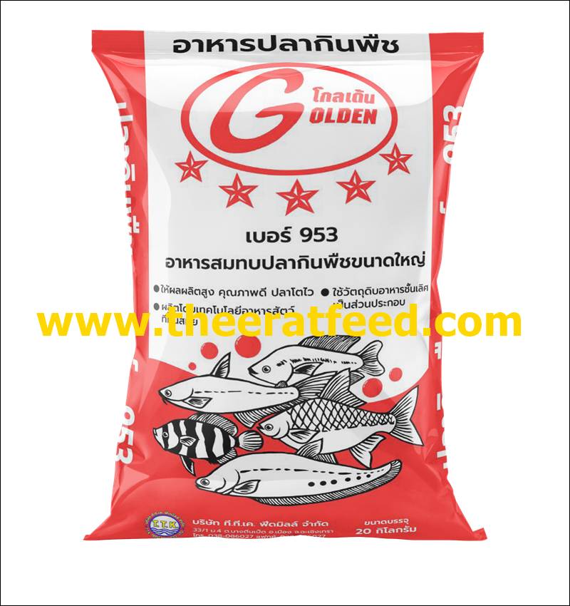 อาหารปลากินพืชใหญ่ โกลเด้น 953 โปรตีน 15.5 %