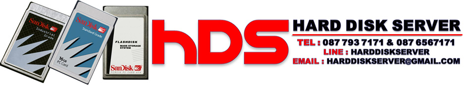 Sandisk PCMCIA Flash Card 128Mb