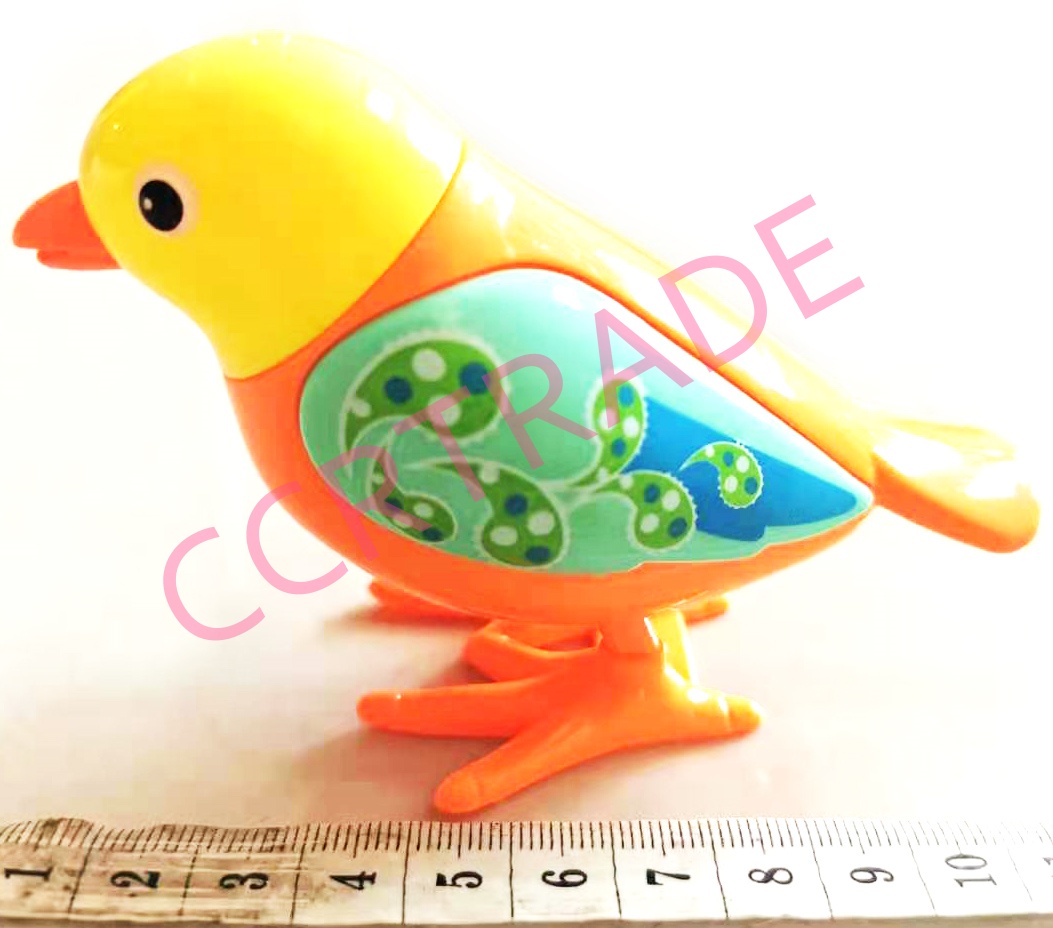 นกแก้วสีสด ไขลานกล่อง 7x10.5 ซม.(งานห้าง)