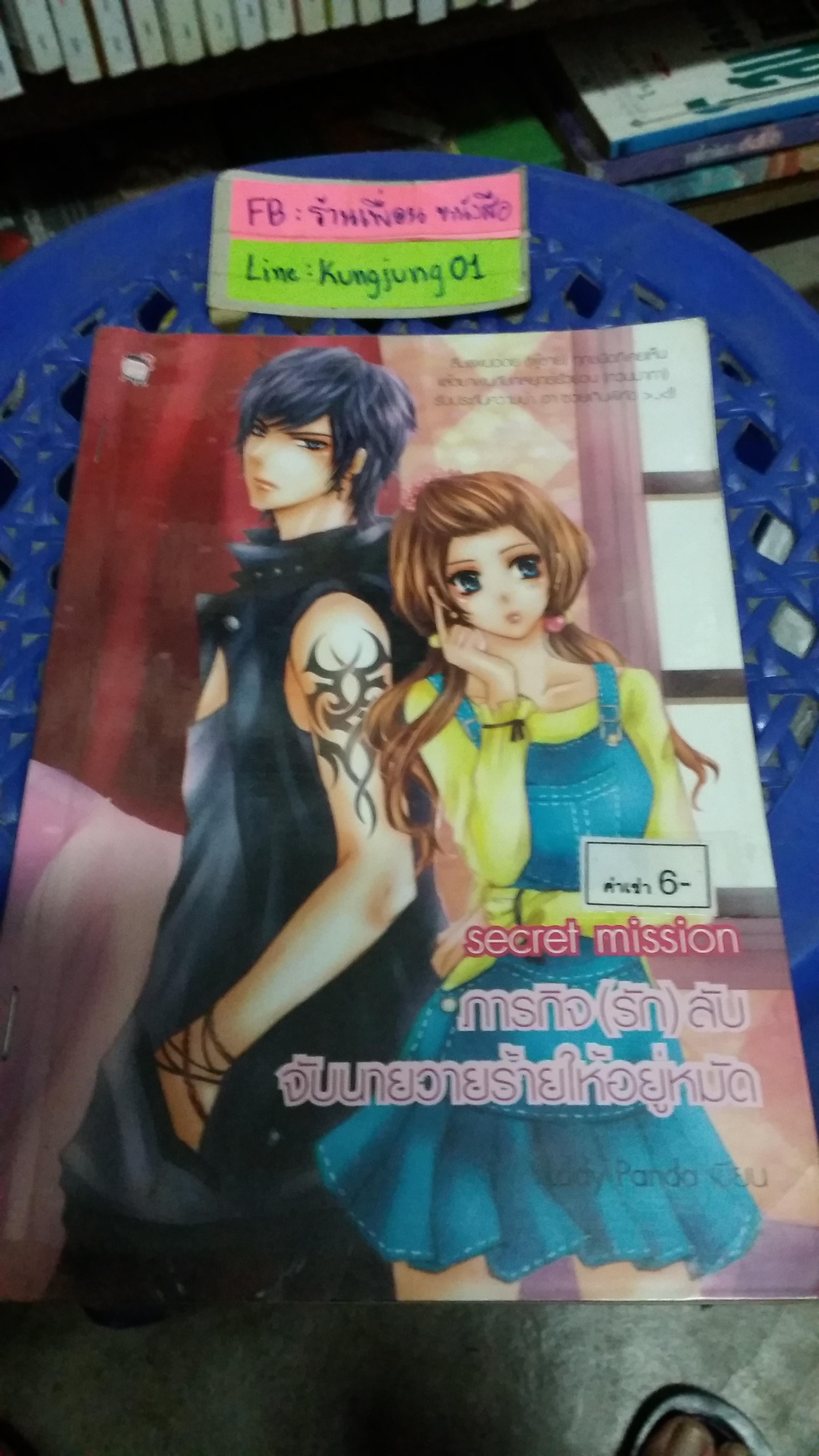 Secret mission ภารกิจรักลับจับนายวายร้ายให้อยู่หมัด /Lady panda