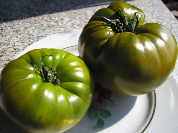 Tomato Seeds Malachite Box. Copyright collectible seeds