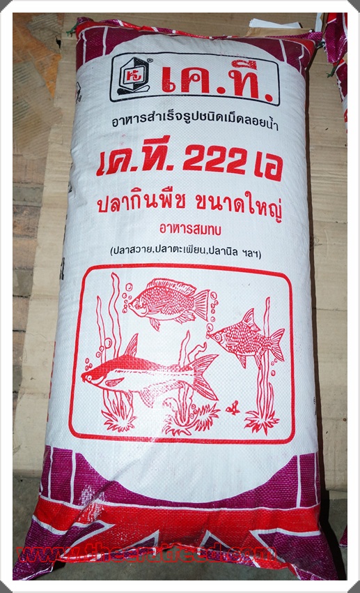 KT222A -S อาหารปลากินพืชกลาง ปลารวม โปรตีน 15.5 %