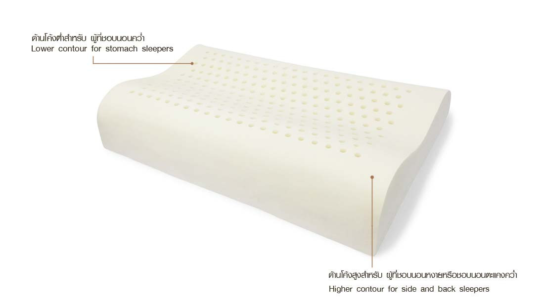 Rehab หมอนยางพารา curve หมอนรองคอ กันกรน