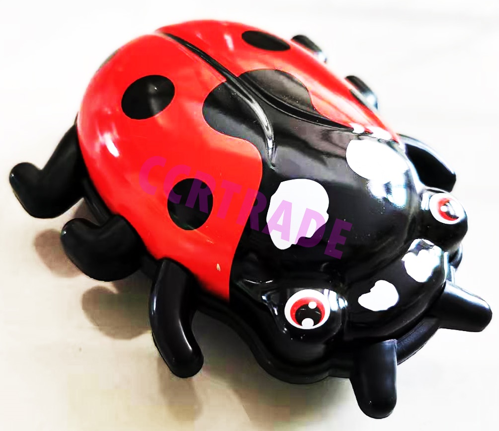 เต่าทองสีสด มีลานกล่อง 10.5x12 ซม.