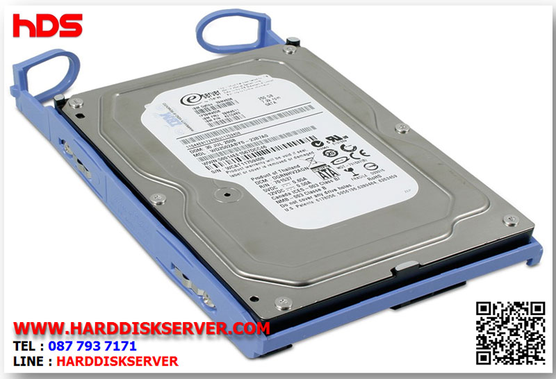 81Y9800 81Y9798 [ขาย จำหน่าย ราคา] IBM 3TB 7.2K 6Gbps NL SATA 3.5" G2HS HDD | IBM