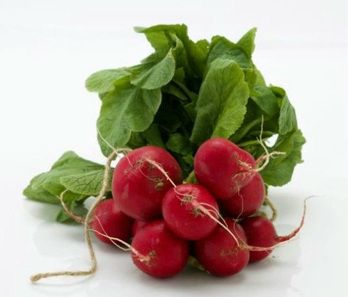 Cherry Radish Radishes Red Vegetable(40) เมล็ดราดิสเชอร์รี่ 40 เมล็ด