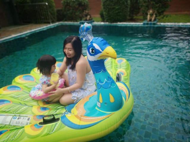 แพยางนกยูง มือสอง ใหม่สวย สภาพ 95%