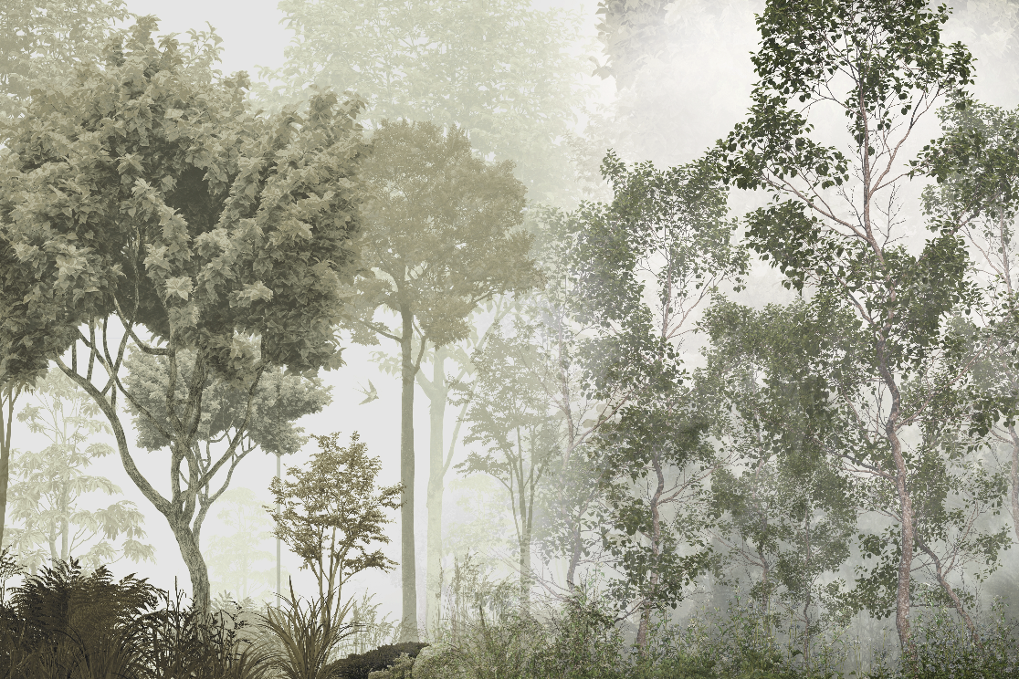 วอลเปเปอร์ภาพป่าเขตร้อน Tropical (สั่งผลิต)