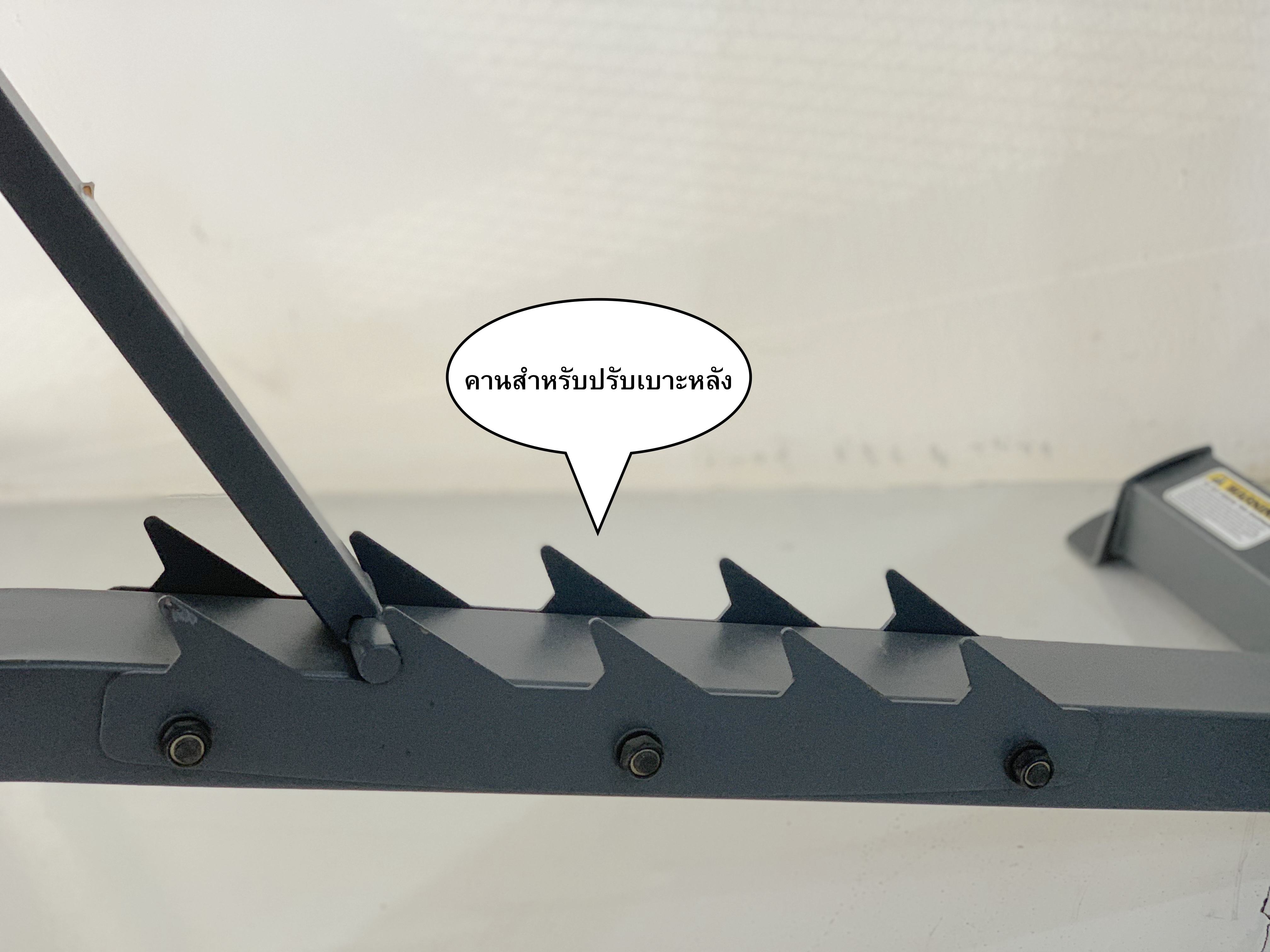 ขายม้าดัมเบลพร้อม rack รุ่น IRON 308