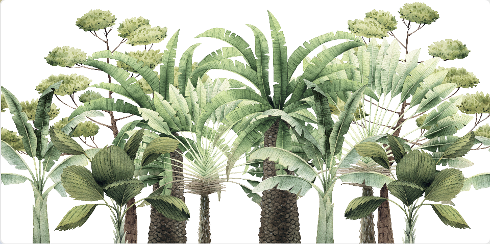 วอลเปเปอร์ภาพป่าเขตร้อน Tropical (สั่งผลิต)
