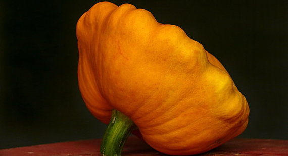 Squash - Zucchini Orange Seeds