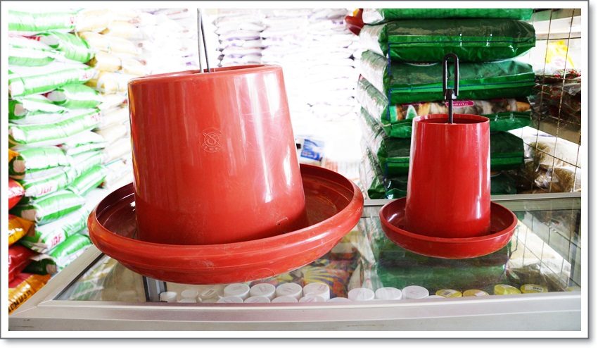 ถังอาหารไก่ขนาดใหญ่ 10นิ้ว สีแดง