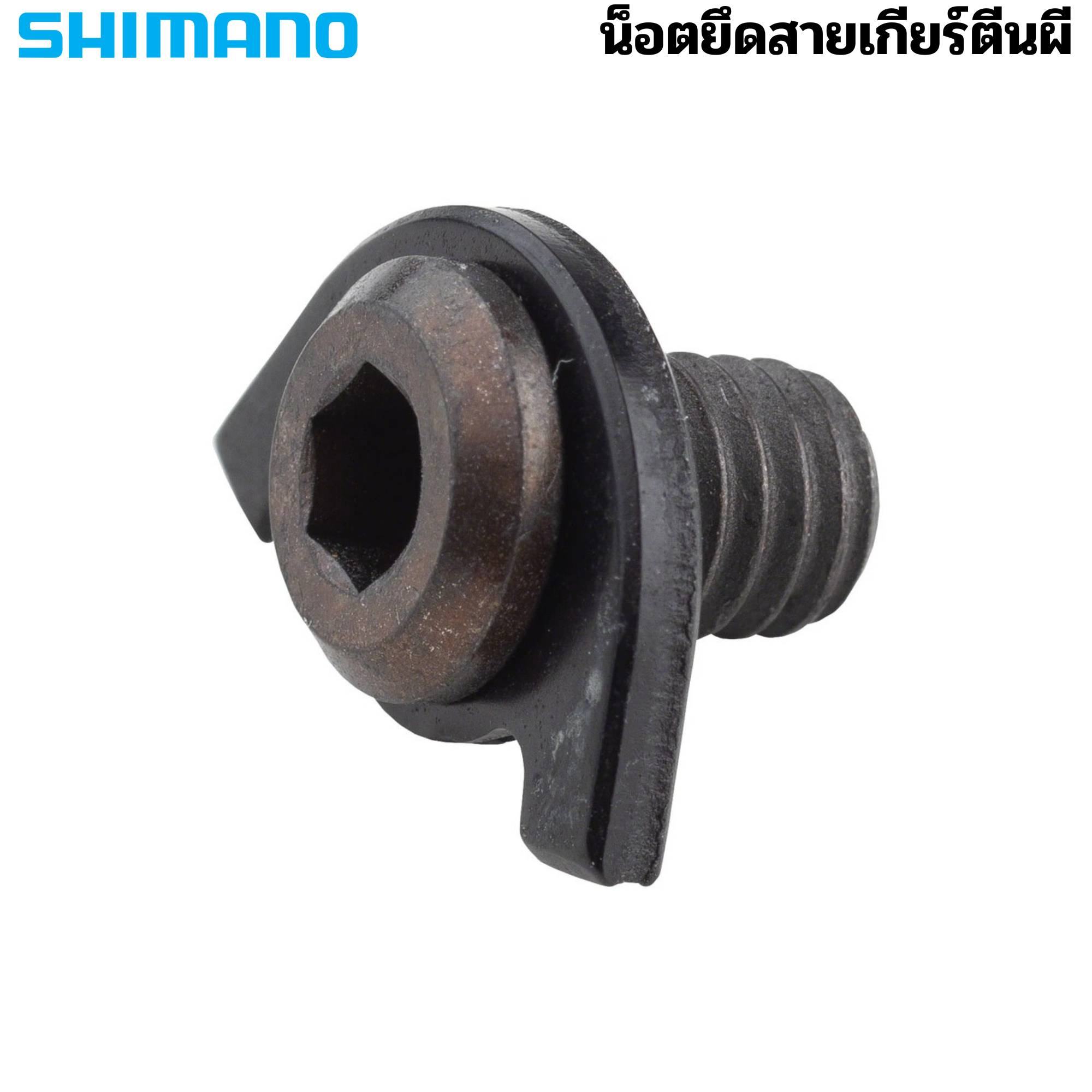 น็อตยึดสายเกียร์ตีนผี SHIMANO รุ่น RD-M8100 Y3FW98060