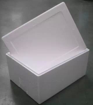 E P S FOAM หรือ P S FOAM