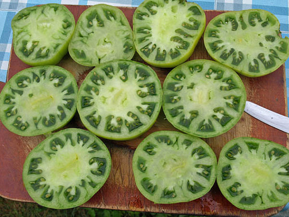 Tomato Seeds Malachite Box. Copyright collectible seeds