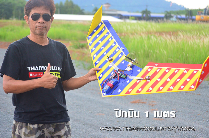 ปีกบินบังคับ 1,000MM.