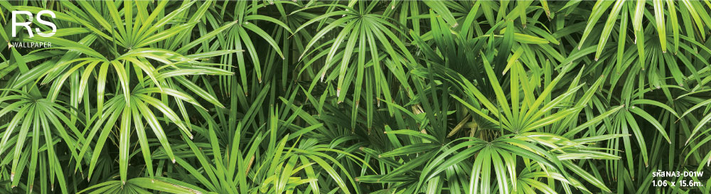 วอลเปเปอร์ลายใบไม้สีเขียว ธรรมชาติ(สีไม้โดนแดด)(Tropical Style)NA3-D01W