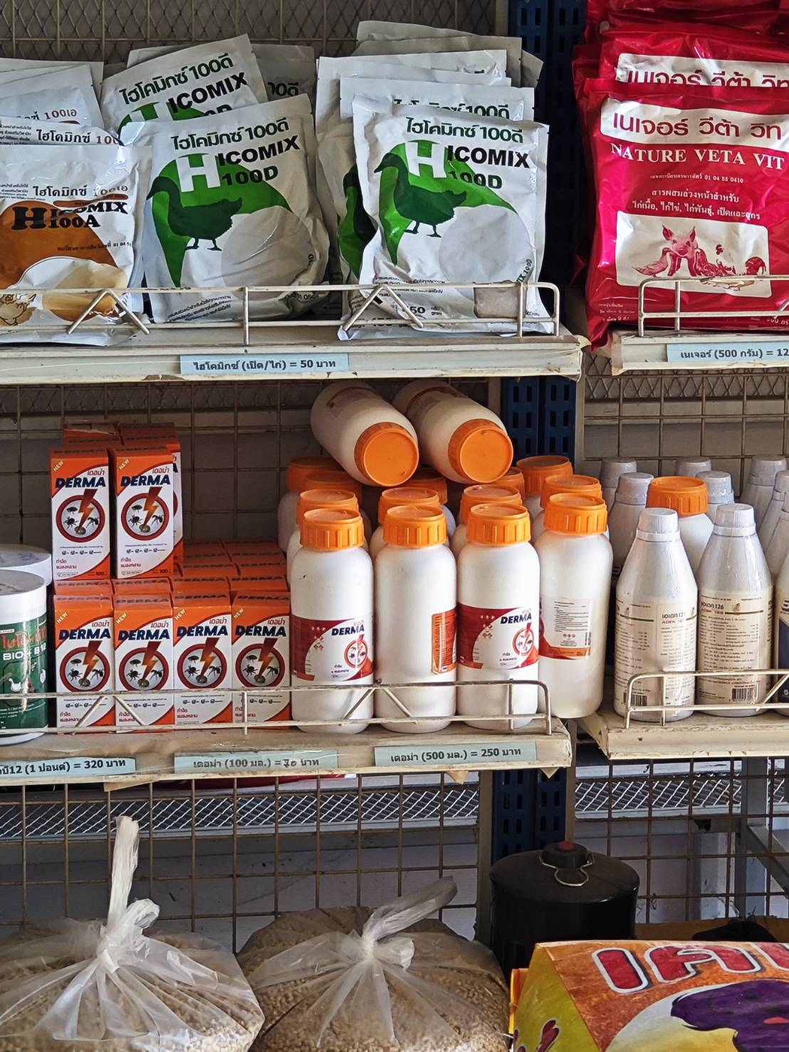 เดอม่า DERMA กำจัดเห็บ หมัด ชนิดน้ำ ขนาด 100 มิลลิลิตร