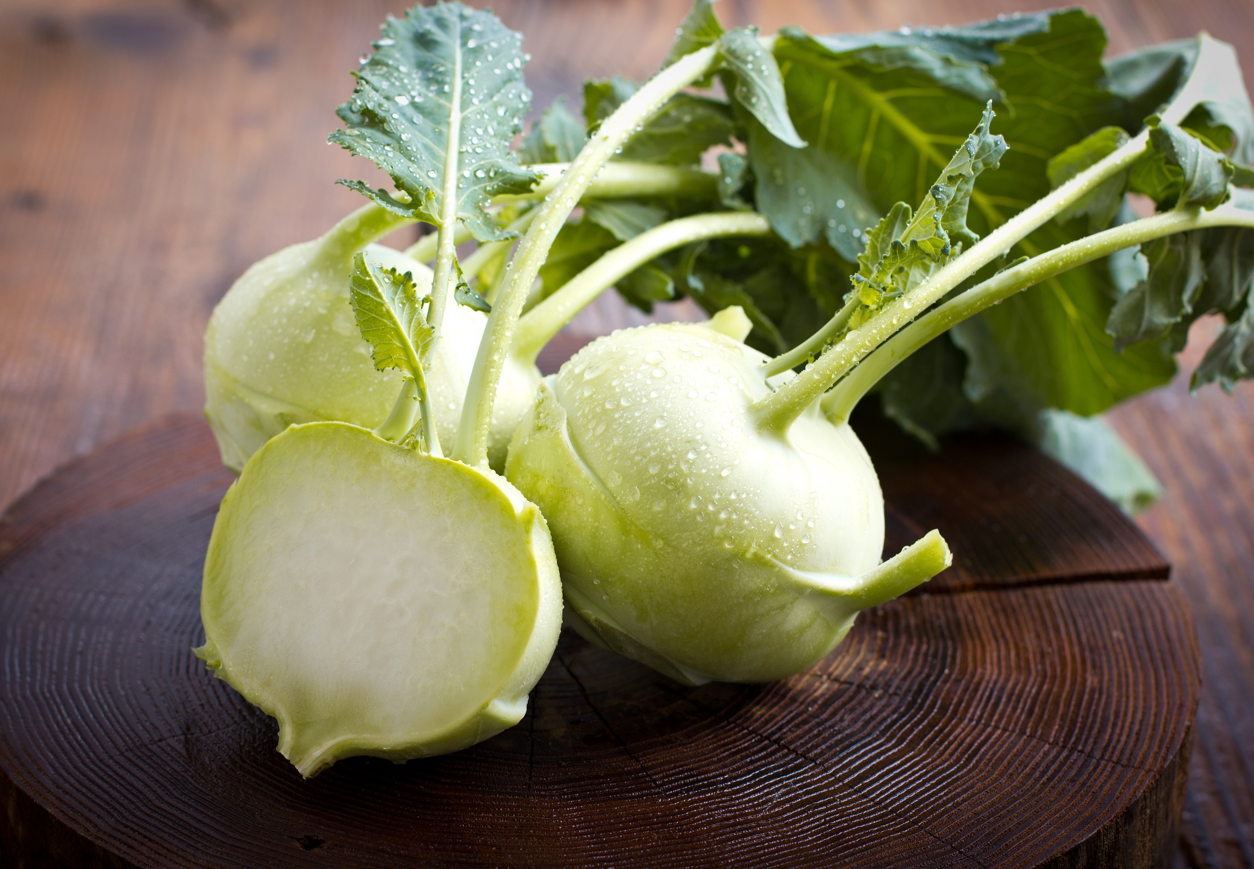กะหล่ำปม Kohlrabi