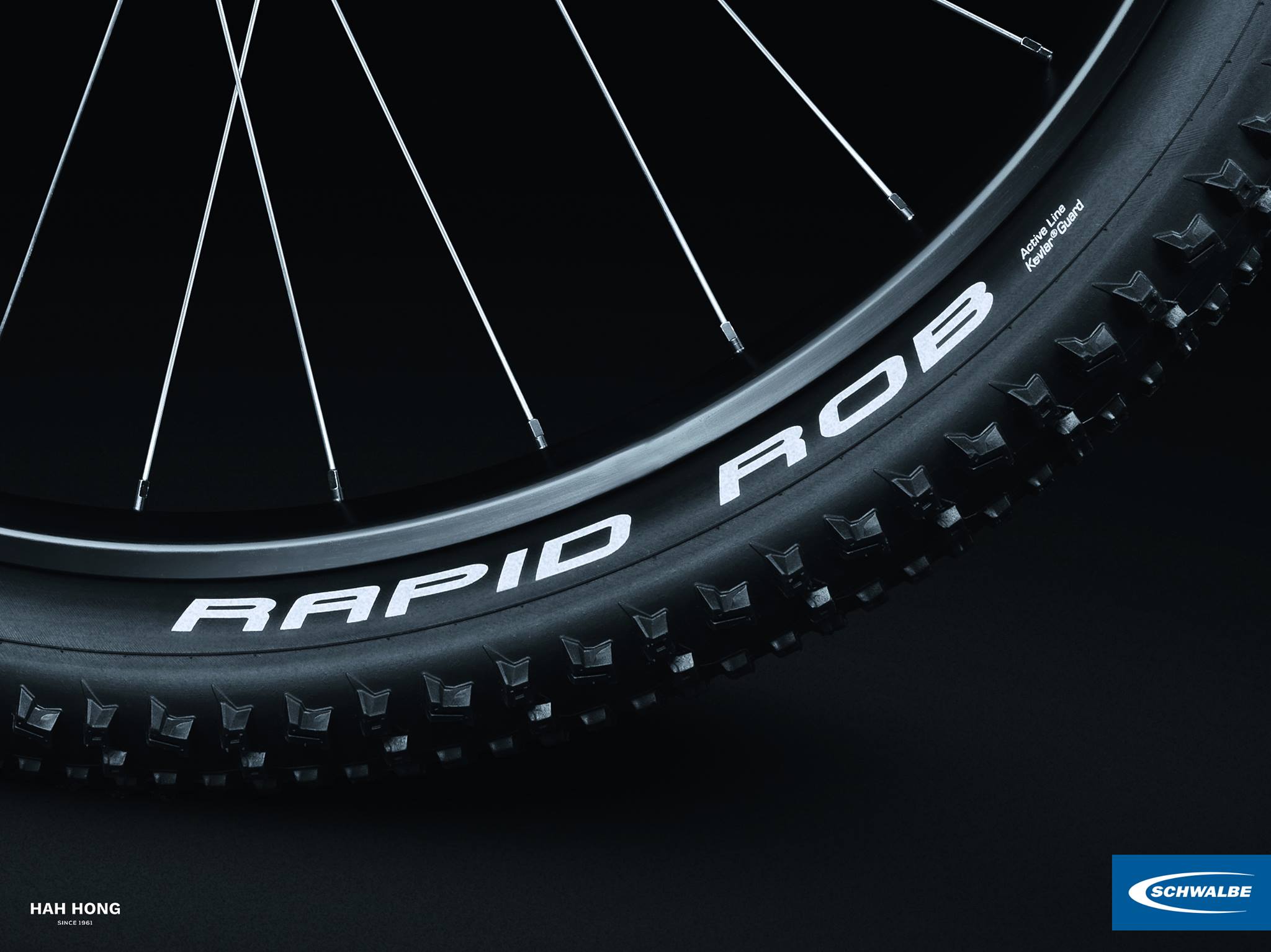 ยางนอกจักรยานเสือภูเขา SCHWALBE ยางนอก MTB รุ่น RAPID ROB, ขอบลวด, 29X2.10, สีดำ