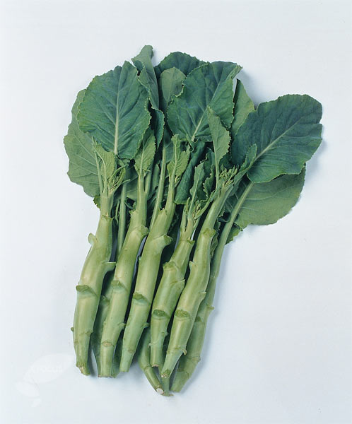 คะน้าเห็ดหอม Kailaan