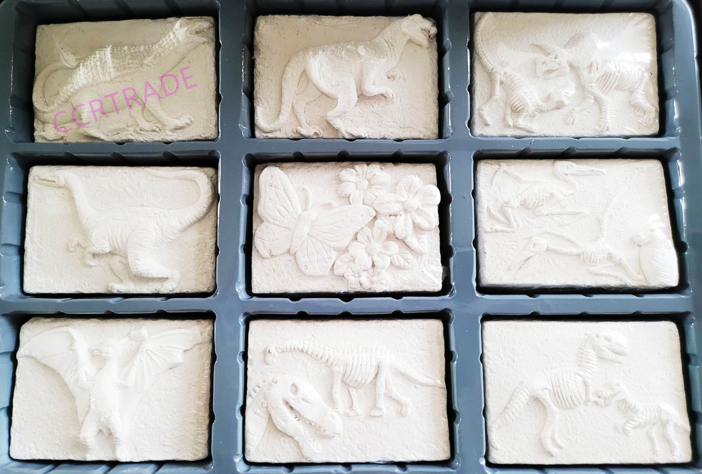 เซ็ทขุดไดโนเสาร์ฟอสซิลกล่อง 5.5x8 ซม.(งานห้าง)(1x9)