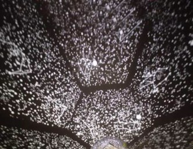 Star Diy 3 Plus โคมไฟดาว 3 สี