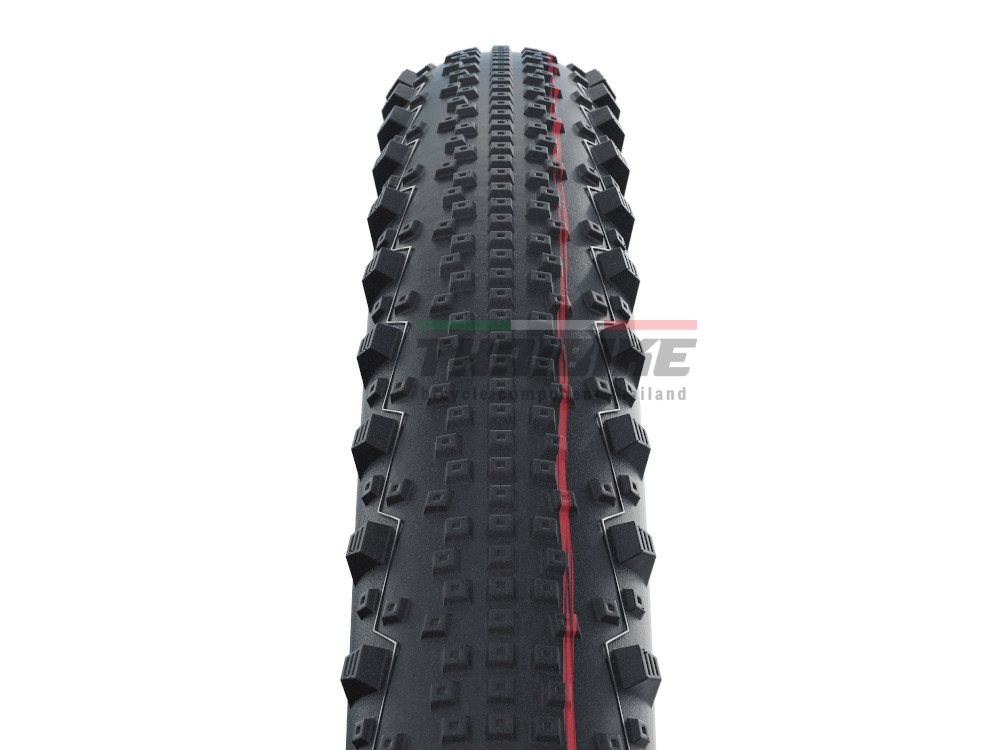 ยางนอกจักรยานเสือภูเขาขอบพับ SCHWALBE THUNDER BURT SnakeSkin 29X2.10