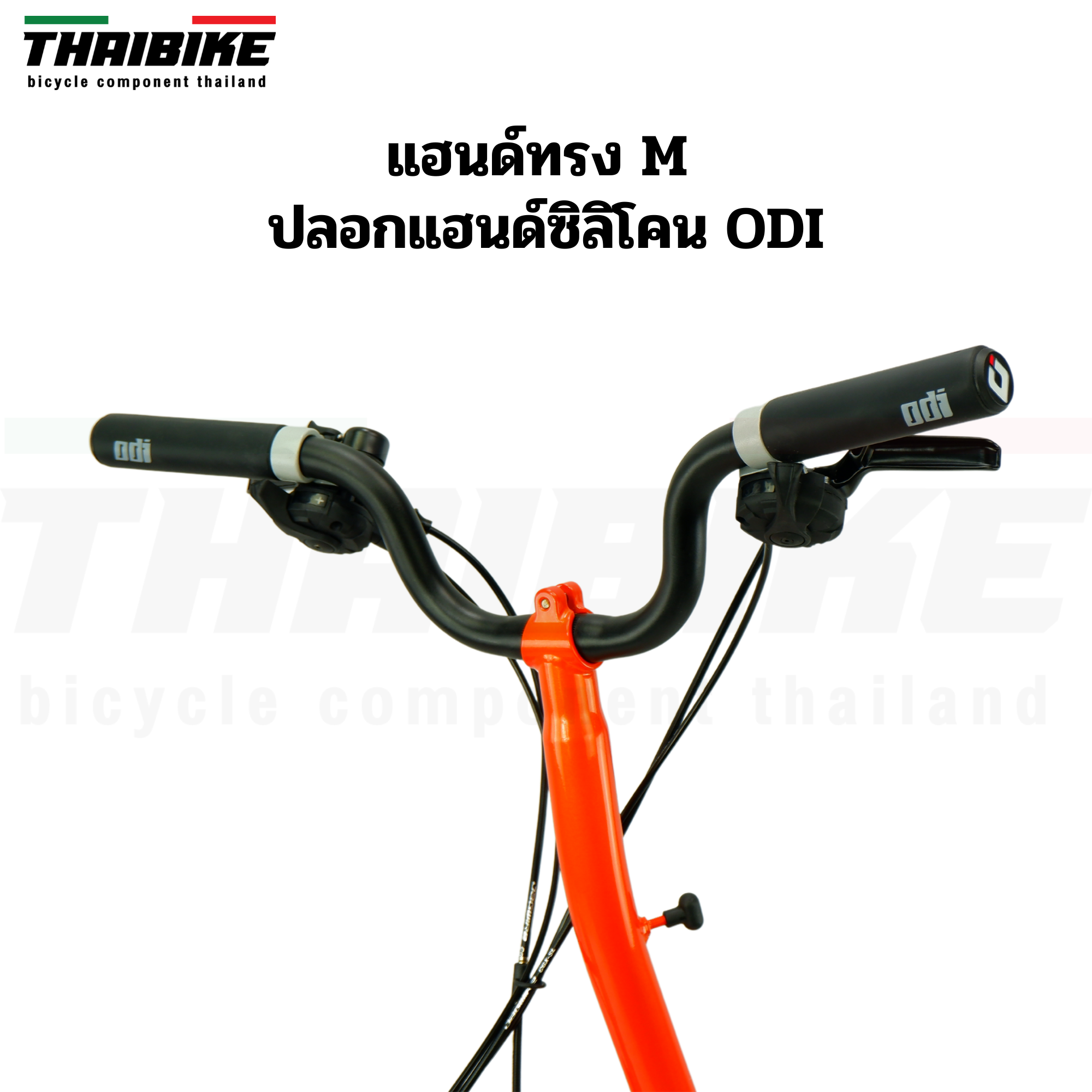 จักรยานพับ Thaibike PIKES รุ่น PAIKESSI 6 SPD เฟรมโครโมลี่