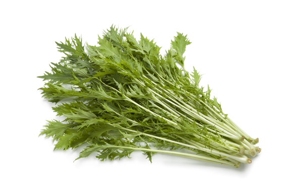 ผักสลัดมิซูน่า mizuna lettuce