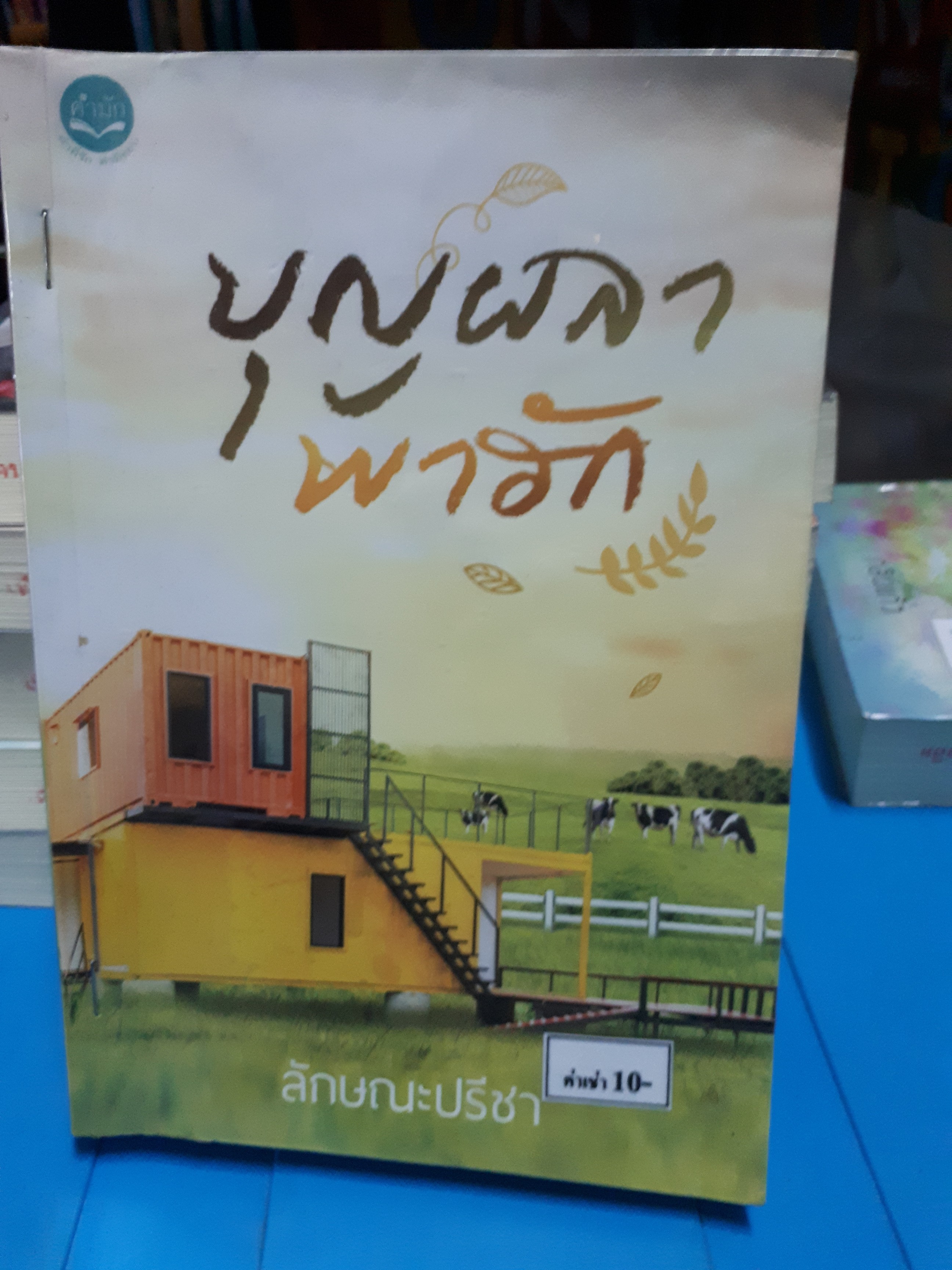 บุญผลาพาฮัก /ลักษณะปรีชา