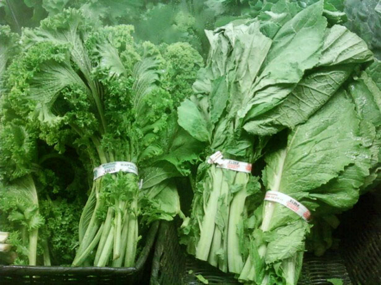 ผักกาดเขียวปลี mustard green