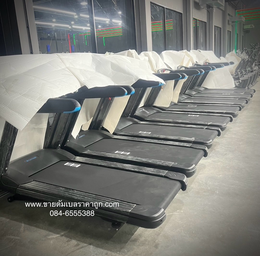 Fitness : Elite Gym แม่สอด