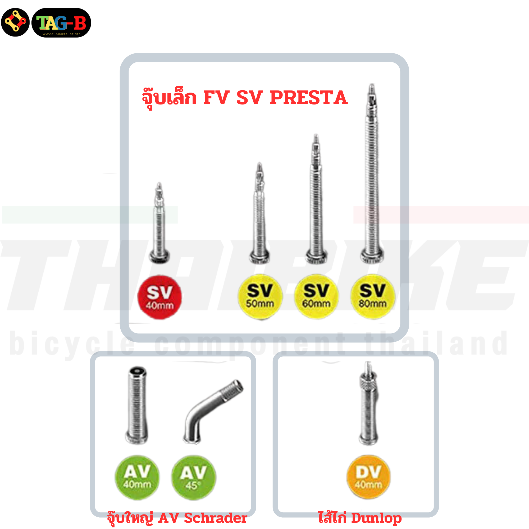ยางในจักรยาน 700C SCHWALBE 700X28C-45C SV17 AV17 จุ๊บเล็ก จุ๊บใหญ่