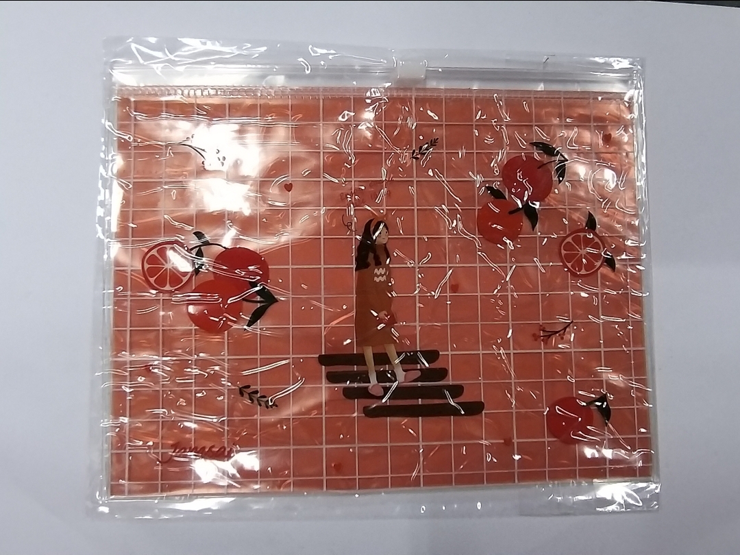 ซองซิปใส